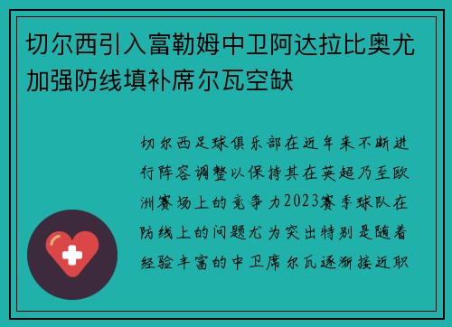切尔西引入富勒姆中卫阿达拉比奥尤加强防线填补席尔瓦空缺